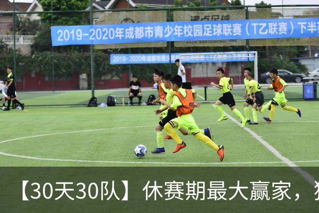 【30天30队】休赛期最大赢家，猛龙从搅局者变成冠军竞争者