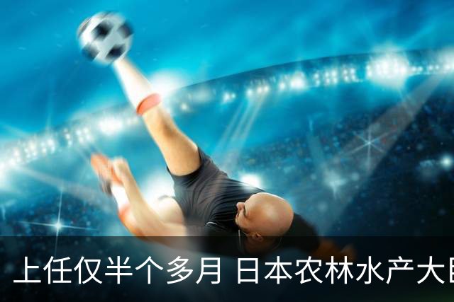 上任仅半个多月 日本农林水产大臣就不当言论道歉