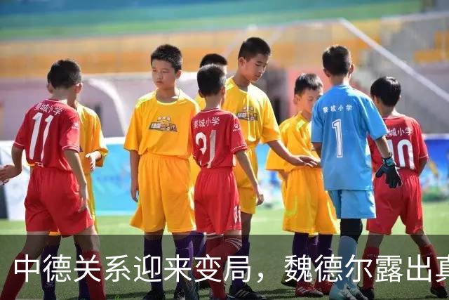 中德关系迎来变局，魏德尔露出真底牌，指责中国，喊话德企向后撤