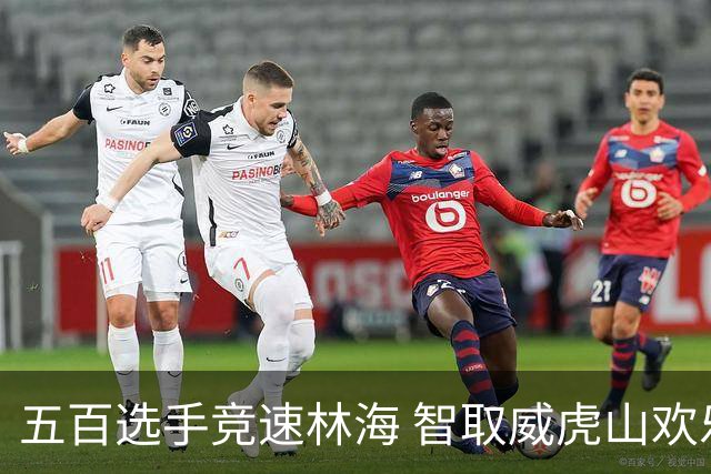 五百选手竞速林海 智取威虎山欢乐跑燃动海林