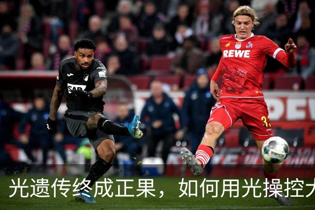 光遗传终成正果，如何用光操控大脑？