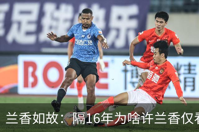 兰香如故：隔16年为啥许兰香仅看林绣茹一眼，就确定海匪是杜翠雀