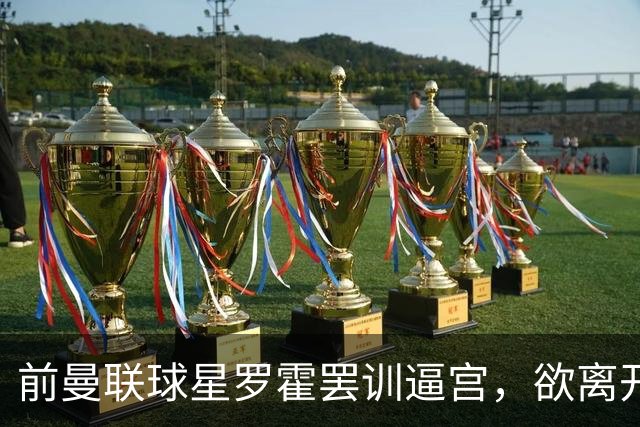前曼联球星罗霍罢训逼宫，欲离开竞技队重返母队效力