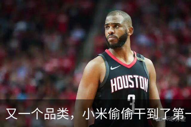 又一个品类，小米偷偷干到了第一名！