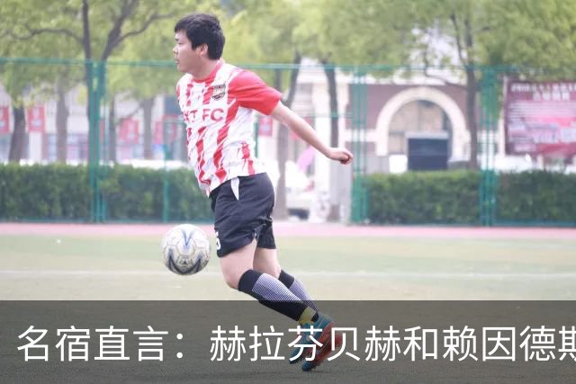 名宿直言：赫拉芬贝赫和赖因德斯没法一起踢球