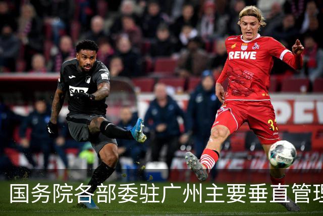 国务院各部委驻广州主要垂直管理机构，有哪些？