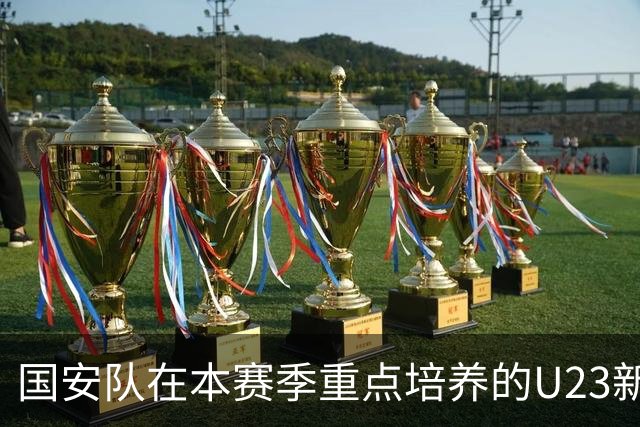 国安队在本赛季重点培养的U23新星，曾是西甲名帅公开看好提拔的王牌，如今却沦为替补。