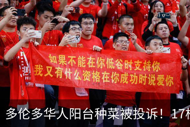 多伦多华人阳台种菜被投诉！17棵番茄22棵生菜引热议