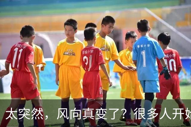 太突然，风向真变了？很多人开始批评王曼昱，再次印证樊振东的话