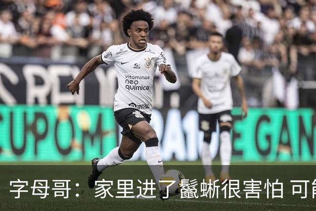 字母哥：家里进了鬣蜥很害怕 可能会考虑搬家