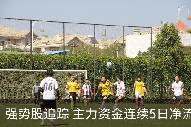 强势股追踪 主力资金连续5日净流入137股