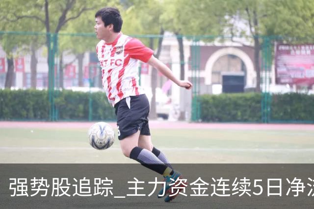 强势股追踪 主力资金连续5日净流入137股