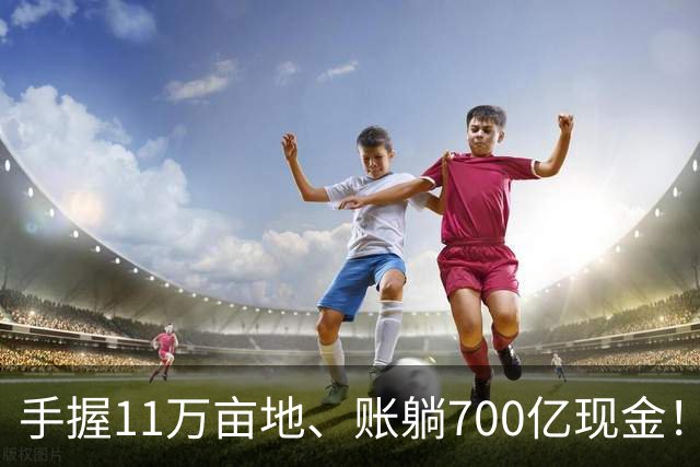 手握11万亩地、账躺700亿现金！地产暴雷潮下，她才是隐形女首富