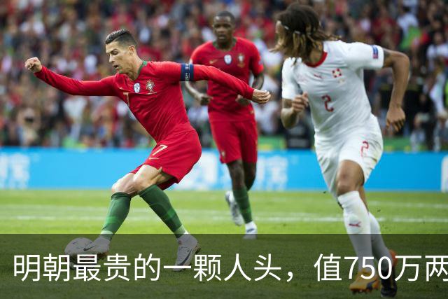明朝最贵的一颗人头，值750万两