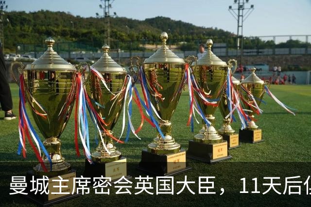 曼城主席密会英国大臣，11天后俱乐部被判财务违规