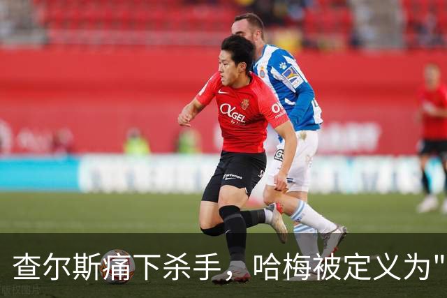 查尔斯痛下杀手，哈梅被定义为"普通平民"，两口子激烈反驳，白金汉宫冷处理...