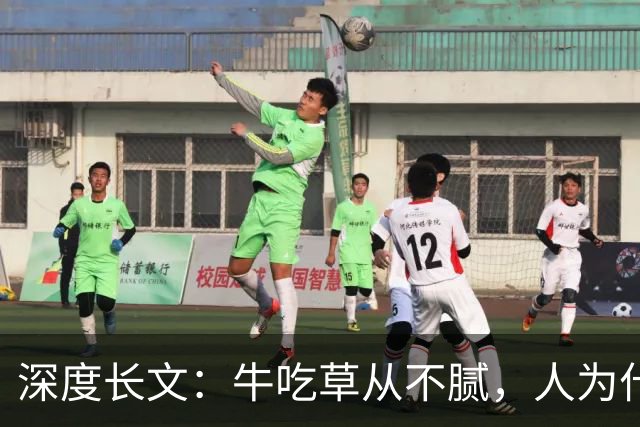 深度长文：牛吃草从不腻，人为什么总想吃新东西？藏着人性的底层逻辑