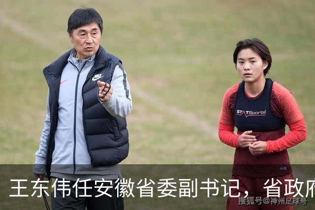 王东伟任安徽省委副书记，省政府党组书记、代理省长