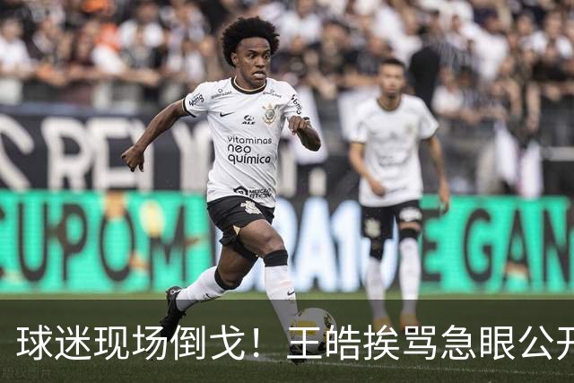 球迷现场倒戈！王皓挨骂急眼公开回击，王励勤见势不妙赶紧拽住他