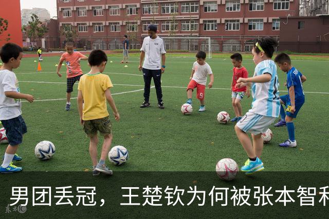 男团丢冠，王楚钦为何被张本智和横扫，谁注张本发言，王皓太冒险