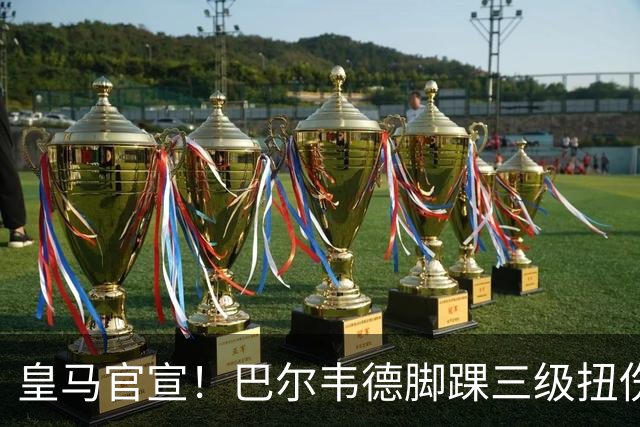 皇马官宣！巴尔韦德脚踝三级扭伤，遭李刚仁飞铲，脚踝肿成“网球”