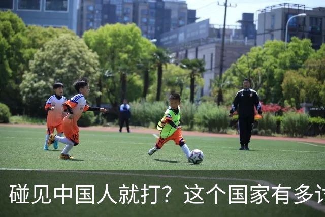 碰见中国人就打？这个国家有多讨厌中国人，为何我们还要去旅游？