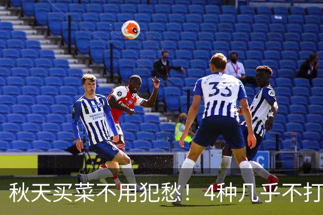 秋天买菜不用犯愁！4种几乎不打农药的时令菜，好吃又养人