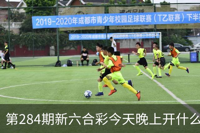 第284期新六合彩今天晚上开什么特码号码，最新内幕特码三中三信息是什么，新六合彩精准资料推荐一肖一码