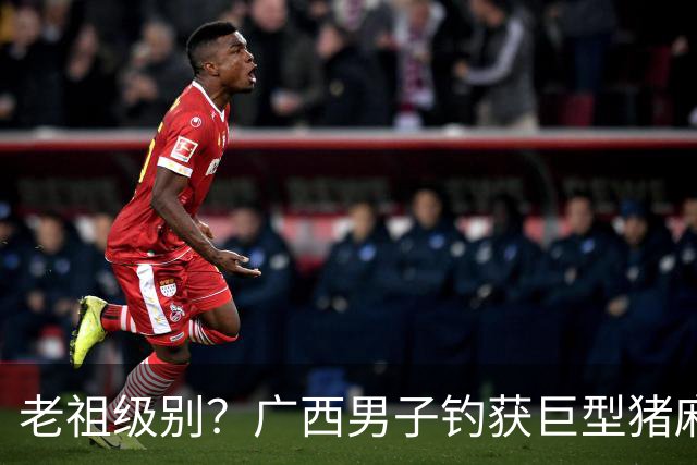 老祖级别？广西男子钓获巨型猪麻锯，成人手掌勉强握住！网友：真没见过这么大的！