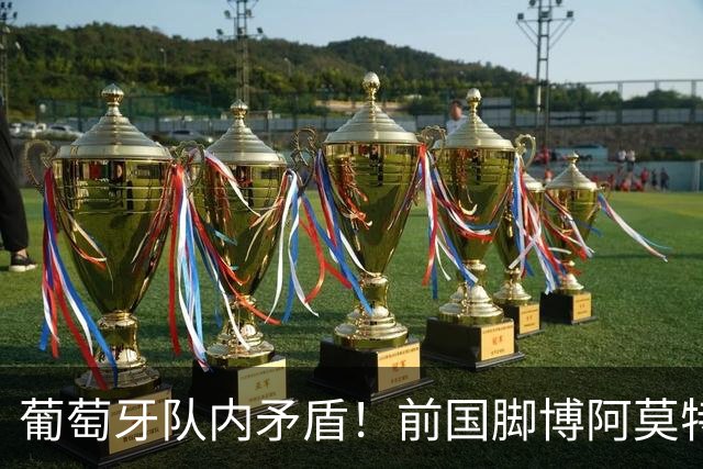 葡萄牙队内矛盾！前国脚博阿莫特点评，剖析C罗热苏斯冲突根源