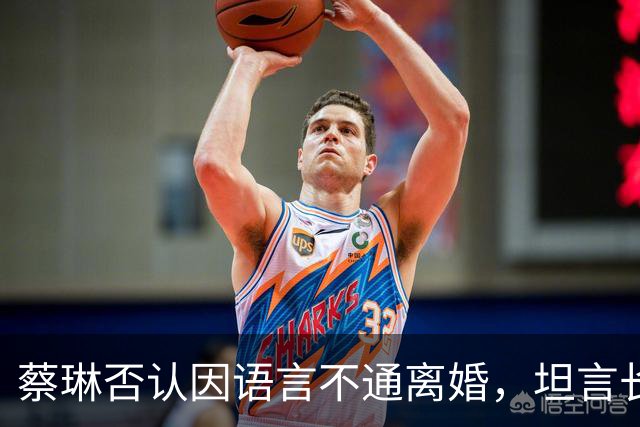 蔡琳否认因语言不通离婚，坦言长期争吵耗尽了能量，连生娃都是自己开车去医院