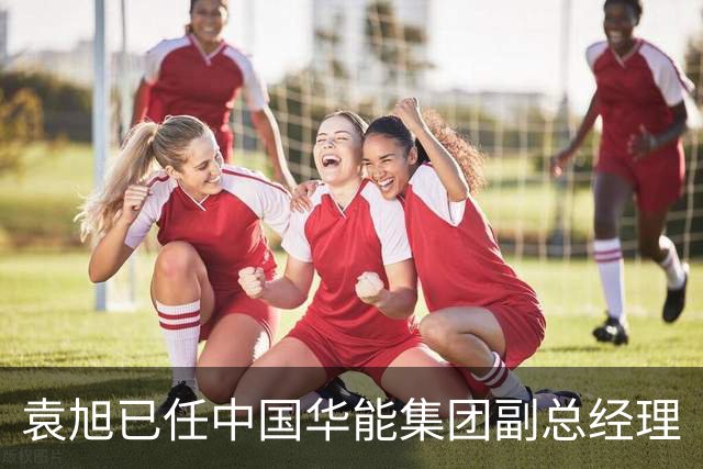 袁旭已任中国华能集团副总经理