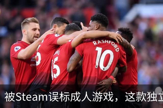 被Steam误标成人游戏，这款独立新作反而被更多人看见了