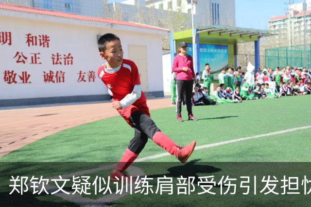 郑钦文疑似训练肩部受伤引发担忧，卡普退出亚洲赛季言论引争议