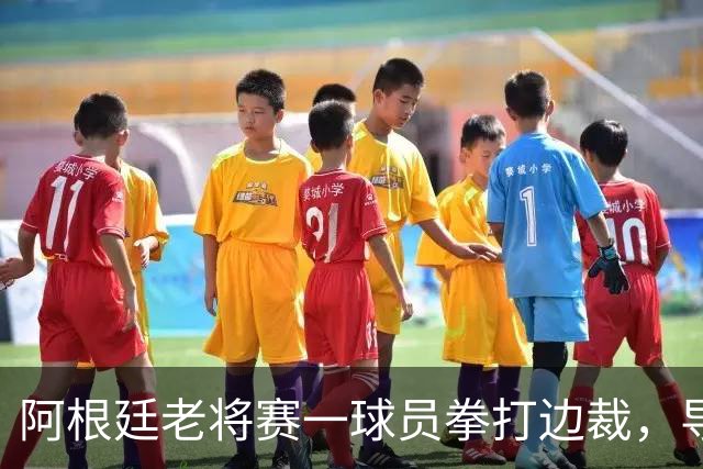 阿根廷老将赛一球员拳打边裁，导致其失去意识、鼻骨骨折
