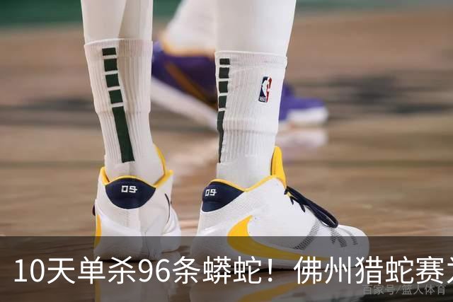 10天单杀96条蟒蛇！佛州猎蛇赛为何越办越火