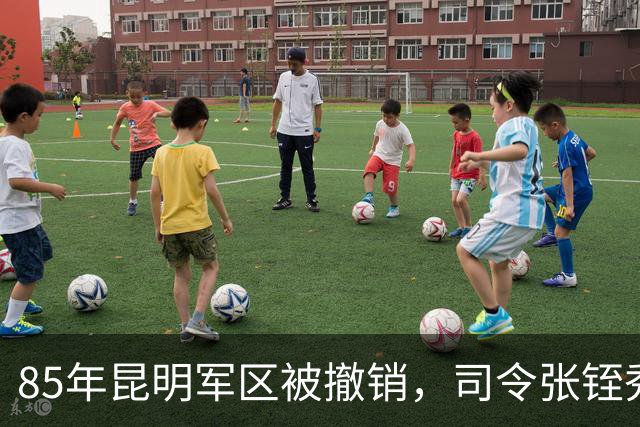 85年昆明军区被撤销，司令张铚秀大感意外，政委婉拒杨尚昆安排！